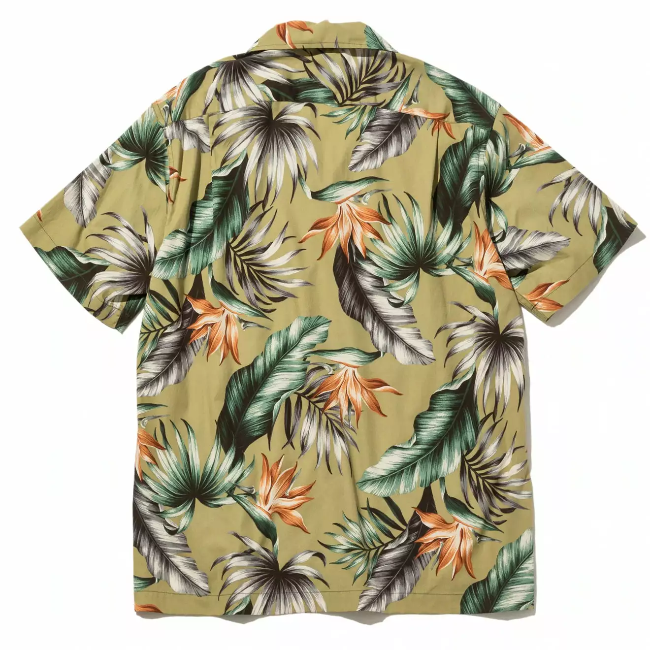 FIVE POCKET ISLAND SHIRT Sage Paradise 2 FIVE POCKET ISLAND SHIRT Sage Paradise - Image 2